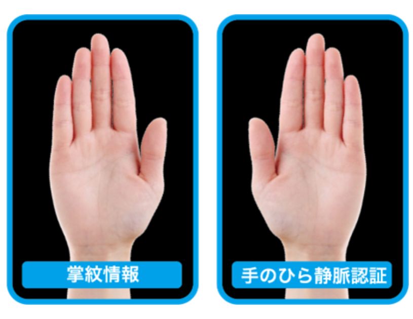 掌紋+手のひら静脈イメージ